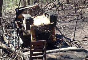 2023 Caterpillar 259D3 Skid Steer - Image 2