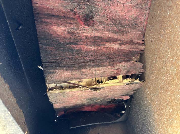 2023 One Fat Frog Enclosed Food Trailer - Image 17