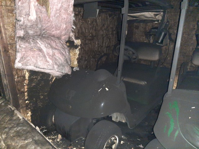 Golf Carts - Image 2