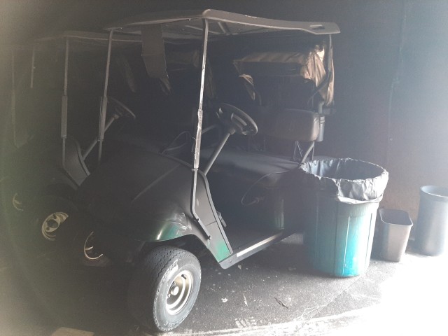 Golf Carts - Image 10