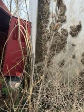 Stainless Steel Tank - Image 4