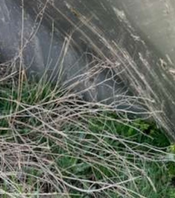 Stainless Steel Tank - Image 7