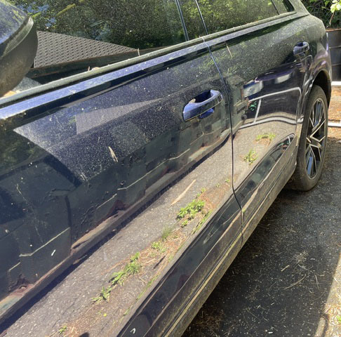 2019 Audi Q8 - Image 7