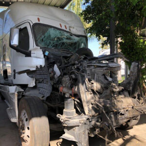 2019 Freightliner Cascadia