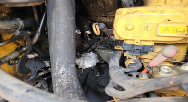 2024 Caterpillar 299D3 Skid Steer - Image 11