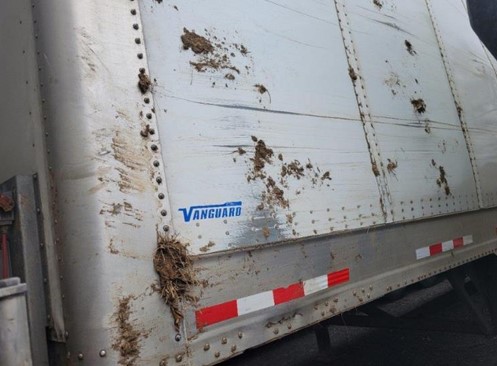 2025 Vanguard Trailer - Image 7