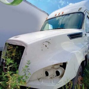 2019 Freightliner Cascadia