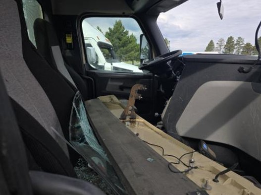 2020 Freightliner New Cascadia - Image 11