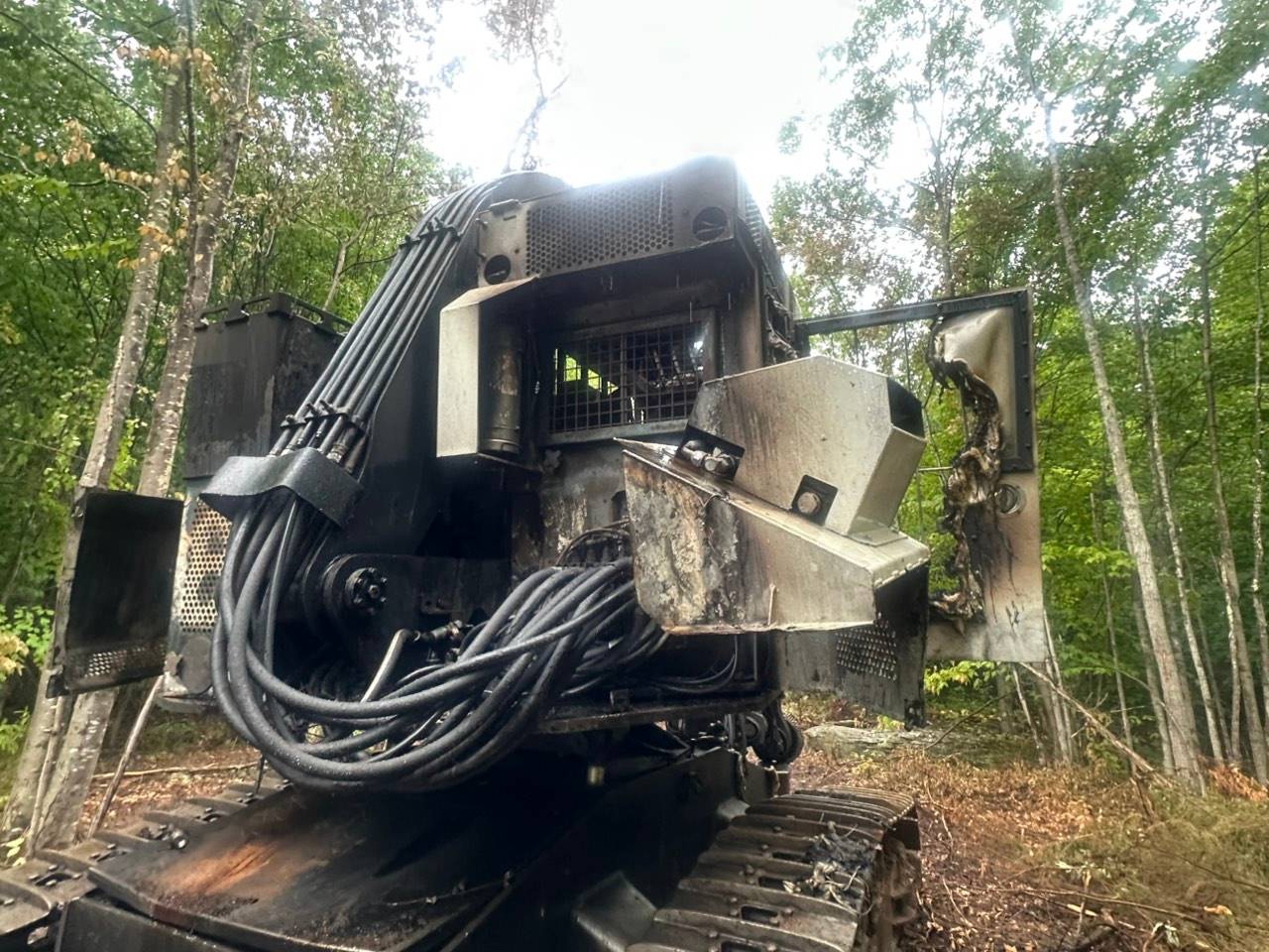 2001 Timbco 425 Feller Buncher - Image 2