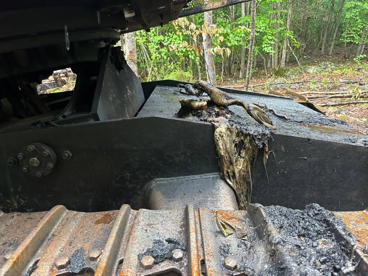 2001 Timbco 425 Feller Buncher - Image 3
