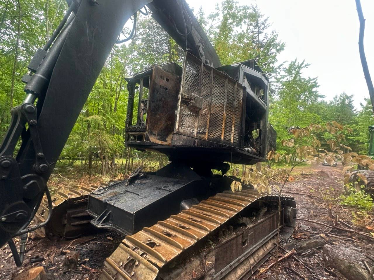 2001 Timbco 425 Feller Buncher - Image 6