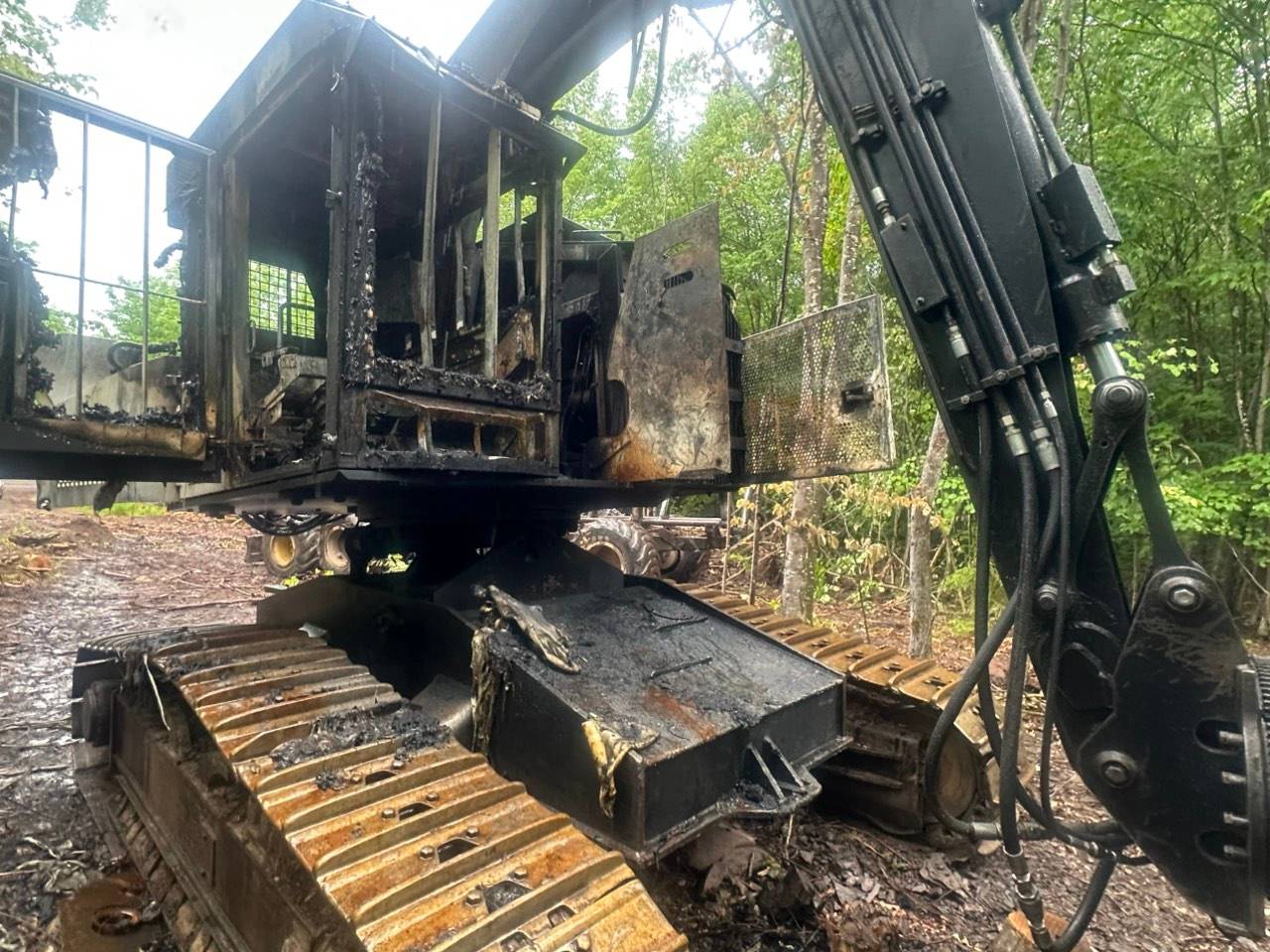 2001 Timbco 425 Feller Buncher - Image 8