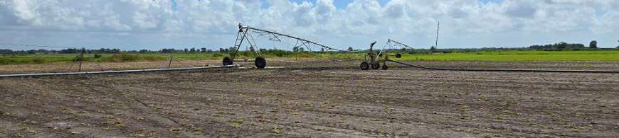 Irrigation System - Image 2