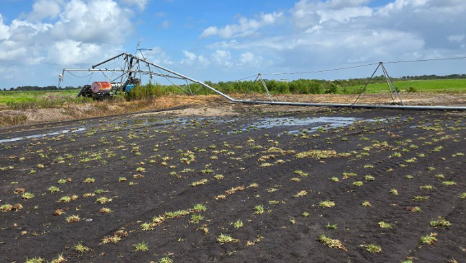 Irrigation System - Image 3