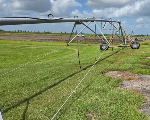 Irrigation System - Image 5