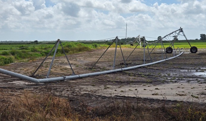 Irrigation System - Image 6