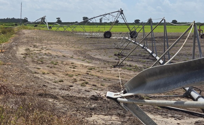 Irrigation System - Image 7