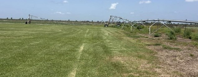 Irrigation System - Image 8
