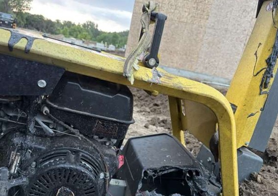 2025 Wacker Neuson Compactor - Image 8