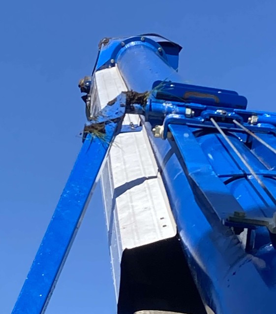 Brandt 1545 Grain Belt Conveyor