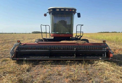 1999 Hesston 8450 Windrower - Image 2
