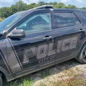 2019 Ford Explorer Police Interceptor