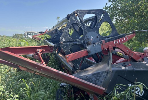 1988 Case IH 1020 Header