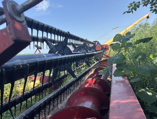 1988 Case IH 1020 Header - Image 3