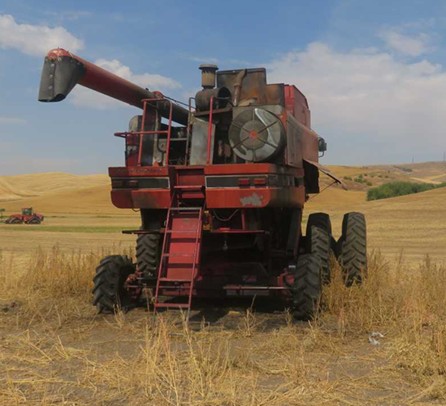 1994 CASE IH 1688 Combine - Image 2