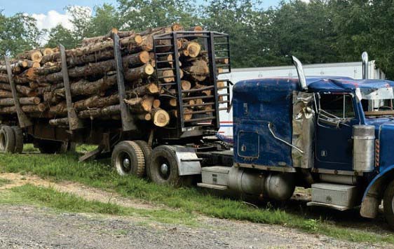 2000 Peterbilt 379 - Image 4