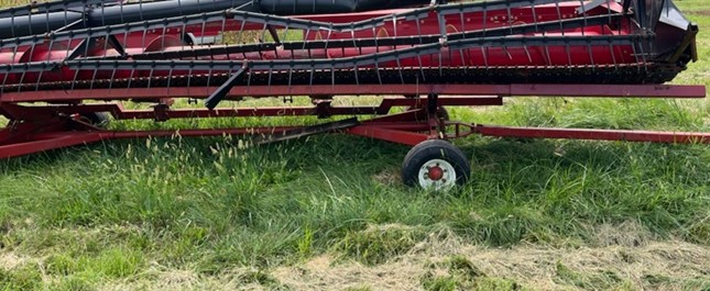 2008 CASE IH 1020 Grain Header - Image 8