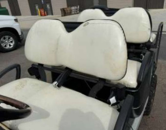 2010 Zone Electric Golf Cart - Image 17