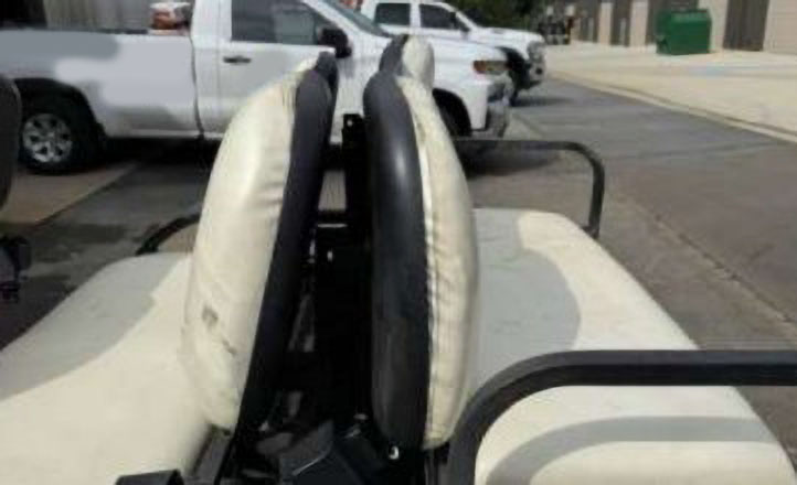 2010 Zone Electric Golf Cart - Image 19
