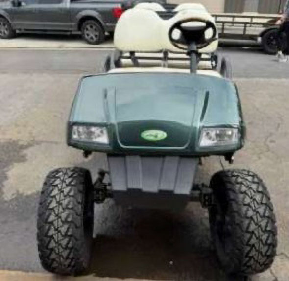 2010 Zone Electric Golf Cart - Image 2