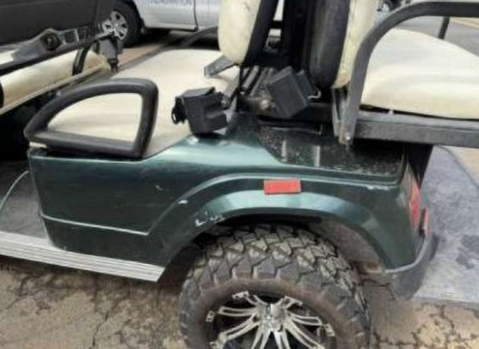 2010 Zone Electric Golf Cart - Image 20