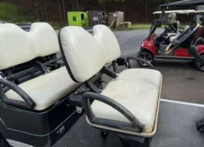 2010 Zone Electric Golf Cart - Image 25