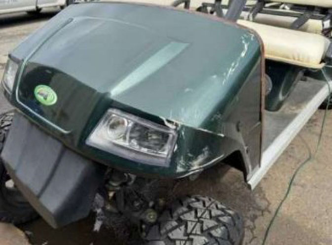 2010 Zone Electric Golf Cart - Image 9