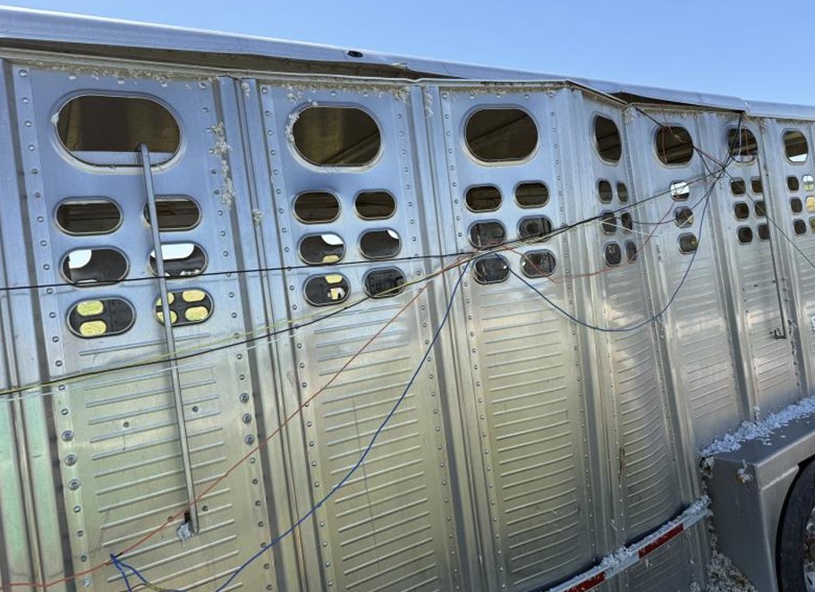 2013 Wilson Ranch Hand Trailer - Image 18