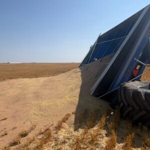 2017 Demco 1050 Grain Cart