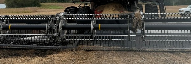 2023 MacDon FD240 Header - Image 2