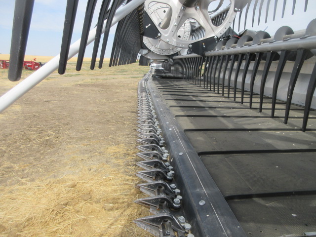 2025 MacDon FD245 Header - Image 11