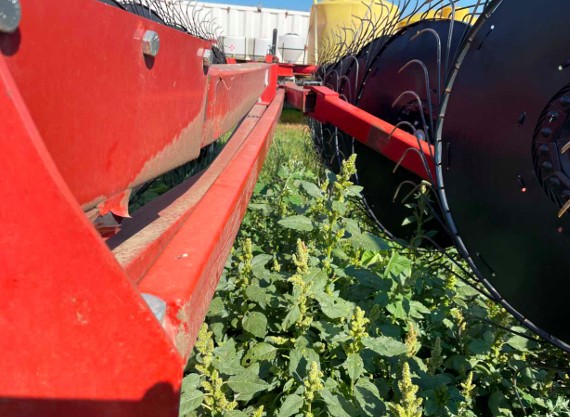 2019 H&S Manufacturing HC5114 Hay Rake - Image 9