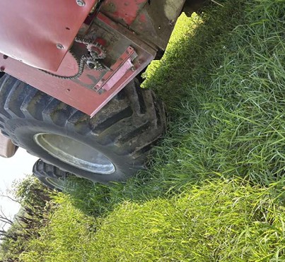 1991 Case IH 1660 Combine & 2000 Case IH 1020 Flex Header - Image 9