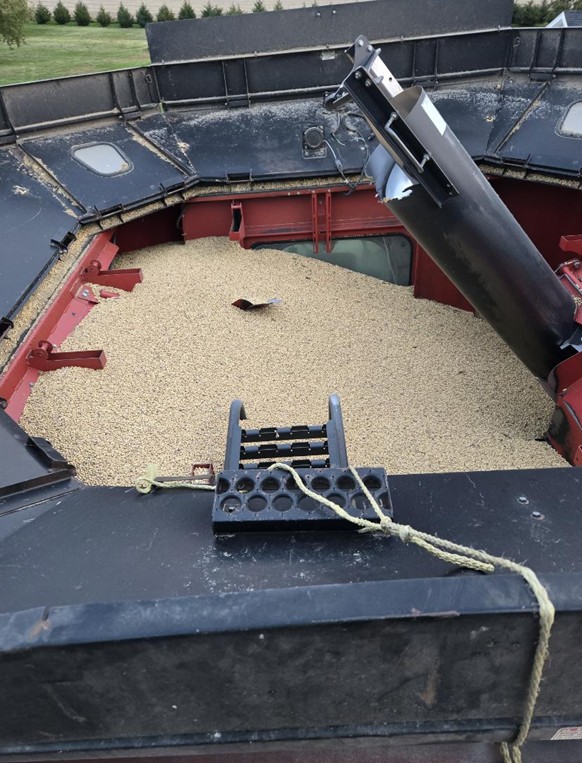 2007 CASE IH 7010 Combine - Image 6