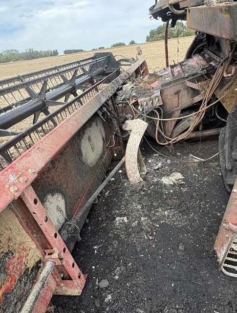 2007 CASE IH 1020 Header - Image 2