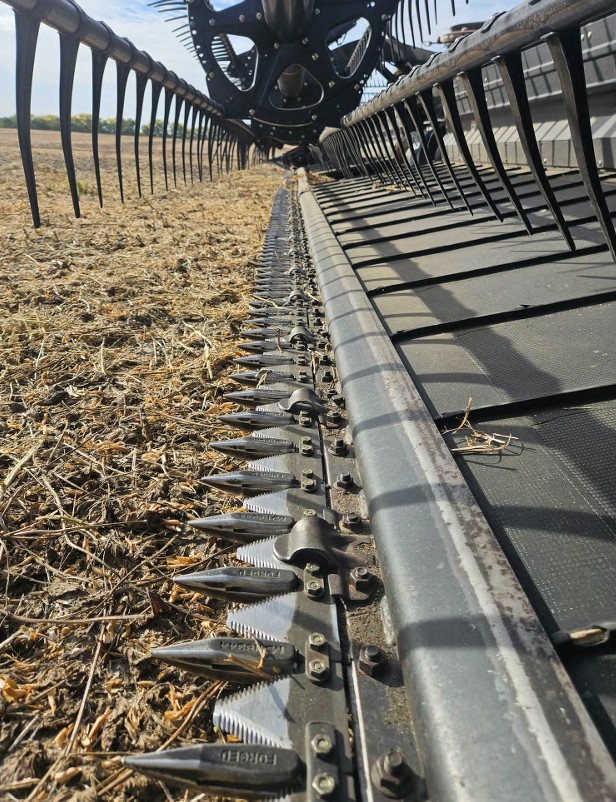 2009 CASE IH 2162 Header - Image 10