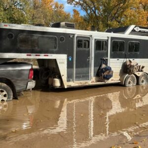 2013 CM Weekender 3-Horse Horse Trailer