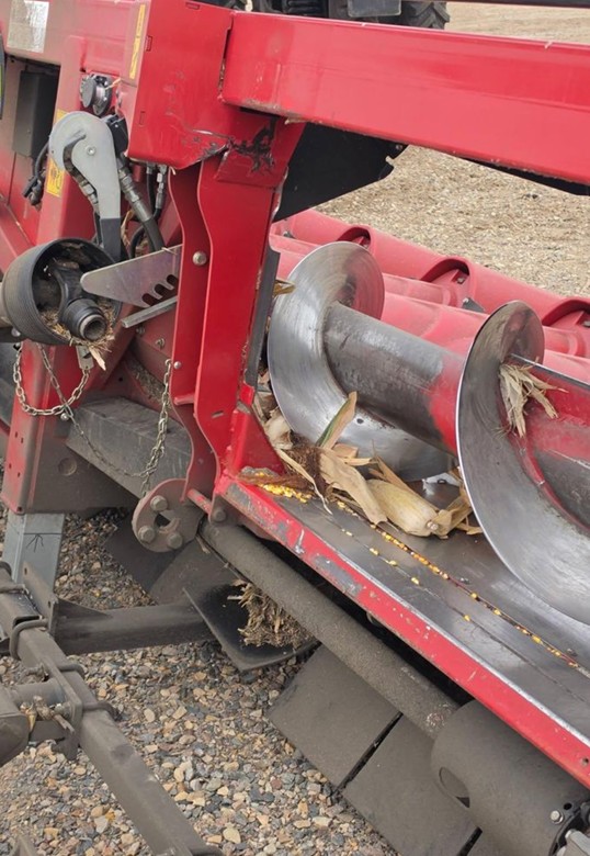 2024 Case IH 4418 Corn Head - Image 9