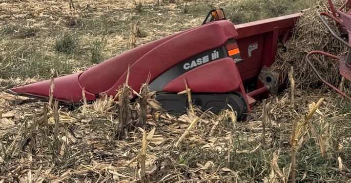 CASE IH 2208 Corn Header - Image 3