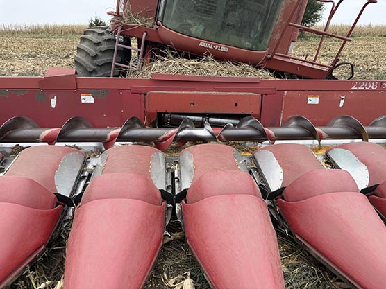 CASE IH 2208 Corn Header - Image 4